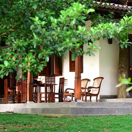 Villa Eco Pearl ヒッカドゥワ エクステリア 写真